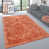Apricot selected