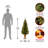 Montclair Spruce Entrance Tree with Clear Lights-92439933