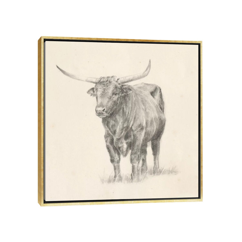 "Longhorn Steer sketch I" par Ethan Harper, reproduction d’art, H 26 po x l 26 po x P 1,5 po, Toile encadrée d'or