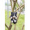 Animals Weather Resistant Water Resistant UV Resistant Polyresin Garden Statue