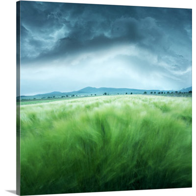 « orge field » par floriana barbu, reproduction de photo sur toile