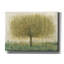 «Summer Day Tree I» par Tim O'toole, art mural sur toile-423611550