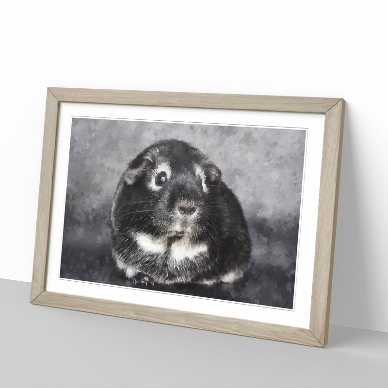 Guinea Pig - Framed Print, 48cm H x 65cm W x 2cm D, Oak Framed