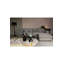 Table basse Floss-81119094
