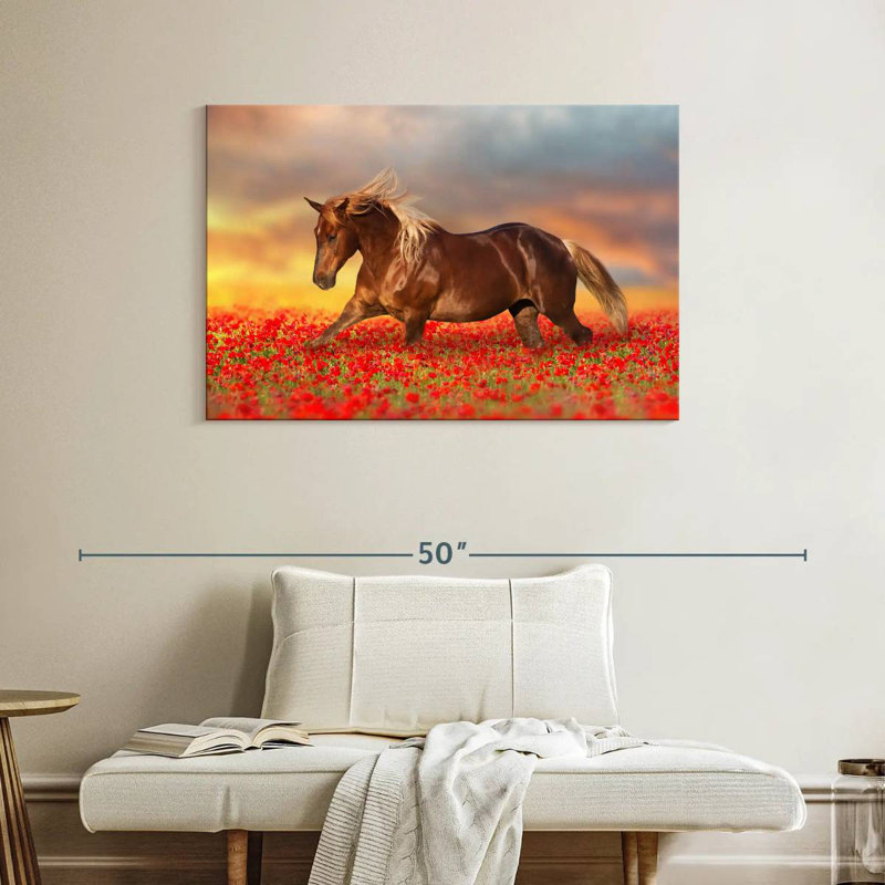 Cheval dans un champ de coquelicots, H 26 po x l 39 po