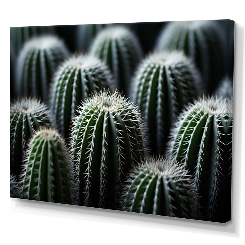Vert, blanc, cactus, sublime minimalisme - impression, H 24 po x l 32 po x P 1 po, Toile tendue