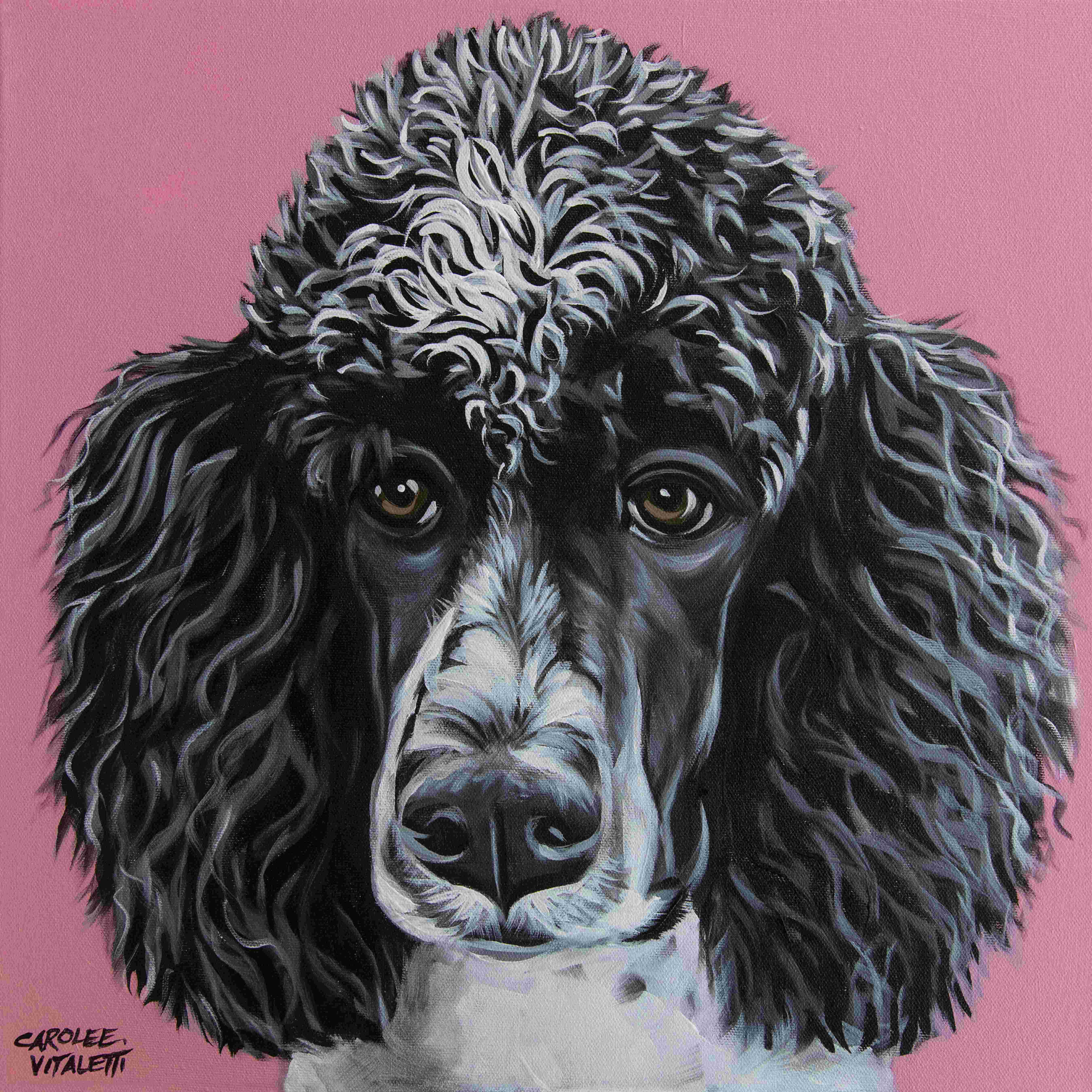 Wildon Home Black Poodle Wrapped Canvas Painting Wayfair