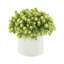 Sedum Arrangement in Fiberstone Pot
