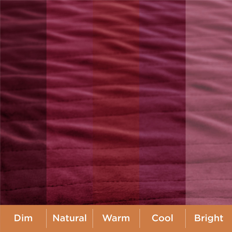 Electric Blanket - Dual Control Heated Blanket, Fast Heating with 10 Time Settings & 10 Heat Settings, Queen, Classic Winery