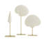 3 Piece Shell Sculpture Set