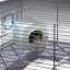 Hamster Cage