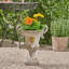 Jardinière d'extérieur-1071686833
