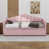 Rose est en rupture de stock