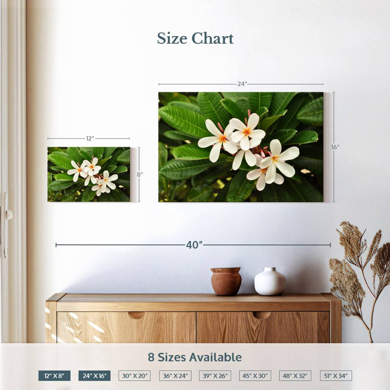 Harnek White Plumeria Flowers, 16" H x 24" W