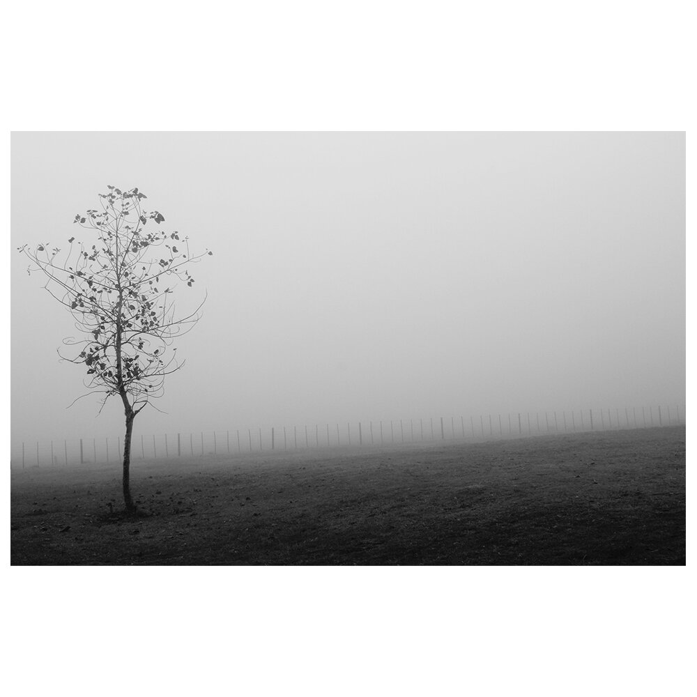 Leinwandbild - Fotografie „The Fog”