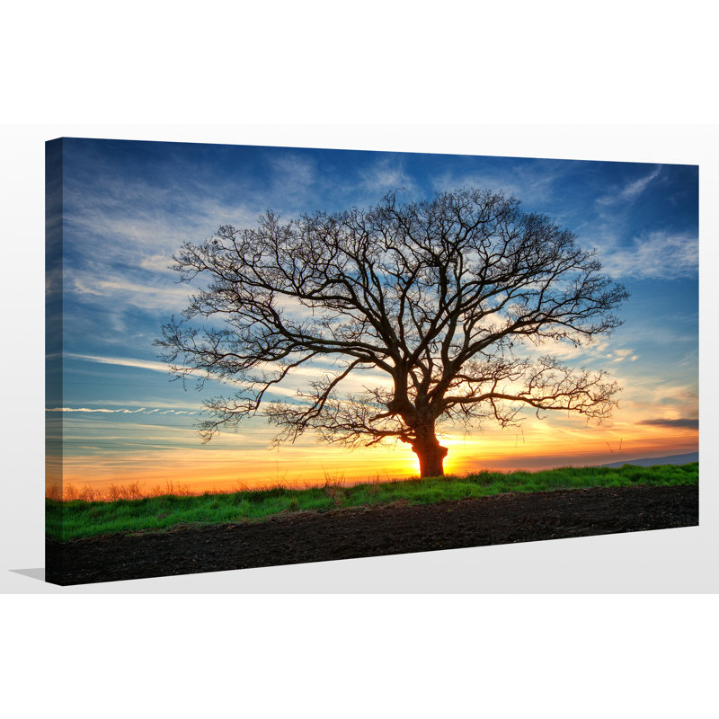 «Lonely Tree in a Field 1», reproduction de photo sur toile tendue, H 28 po x l 48 po x P 1,5 po