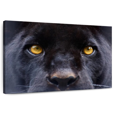 Brampt Panther Eyes
