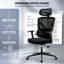 Office Chair-213168446-213168416