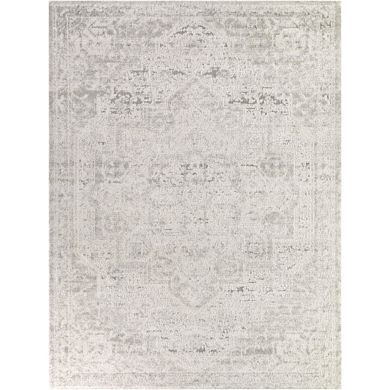 Iacchus Beige Distressed Traditional Area Rug, Rectangle 7'10" x 10'