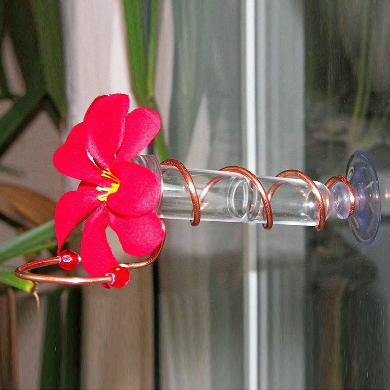 Mangeoire à colibri Antaqui