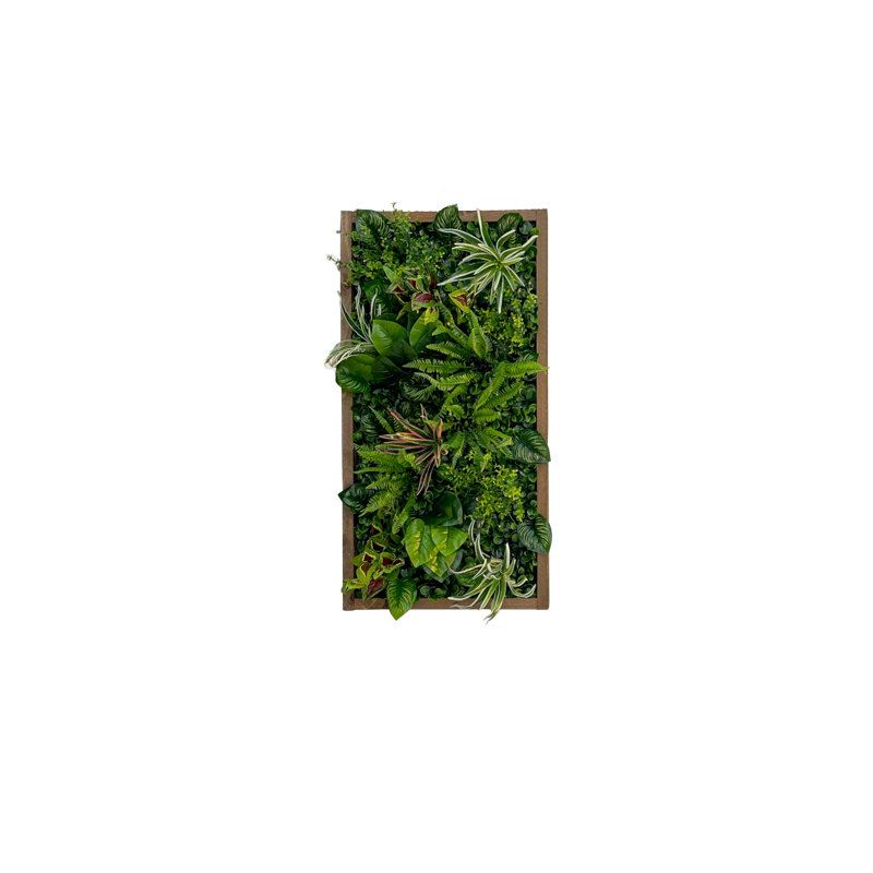 106cm Plant, Brown