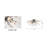 Transitional 4 Light Sputnik Crystal Flush Mount