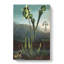 Bog Plants by R.J. Thornton - Wrapped Canvas Painting-55362027