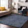 Premium Machine Washable Diskin AMF1031 Swirls Rug