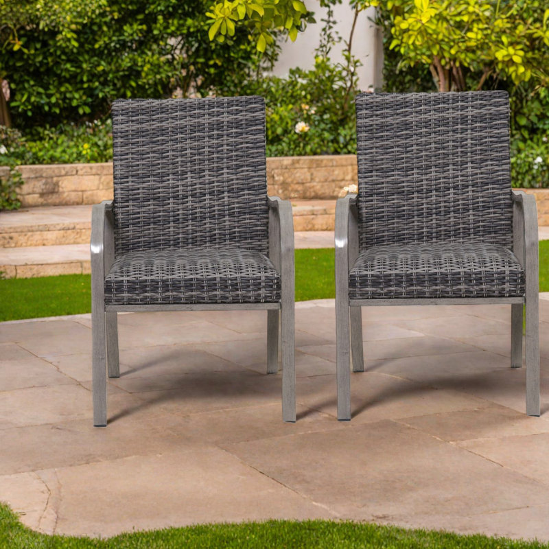 Chaises de salle à manger de patio confortables, osier acrylique en acier, moderne pour le bord de la piscine de jardin