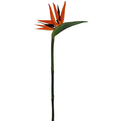 33" Tall Artificial Bird of Paradise