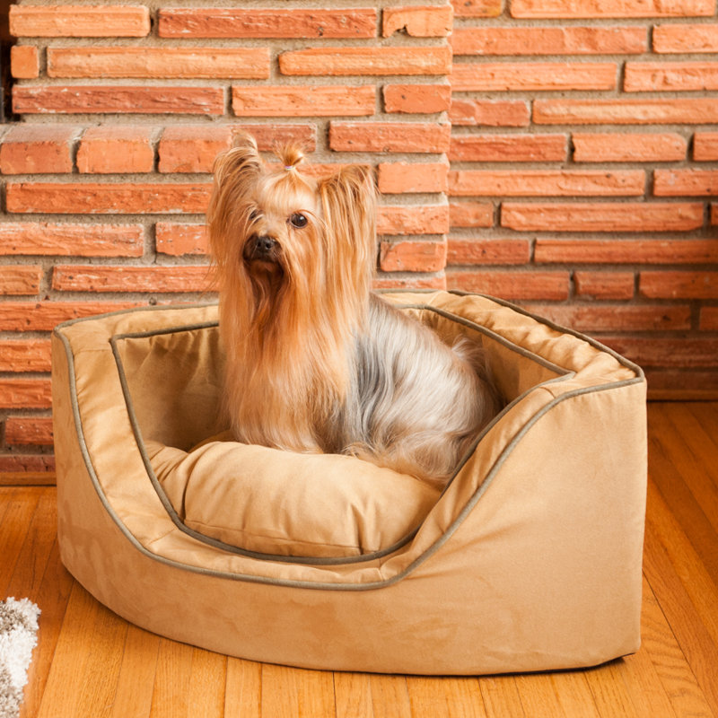 Lit pour chien Snoozer, Grand (l 29 po x P 29 po x H 12 po), Brun clair avec passepoil olive