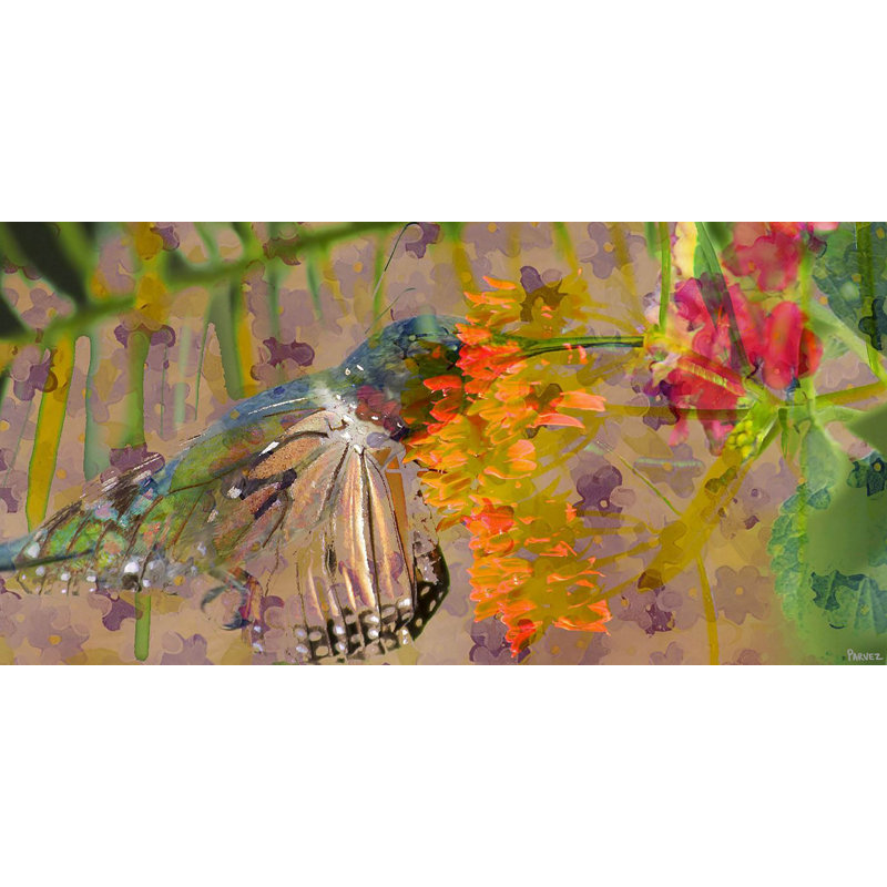 Parvez Taj - Wrapped Canvas Print, 76cm H x 152cm W