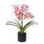 Polysilk Orchid Arrangement In Pot-2030385142-2030385143