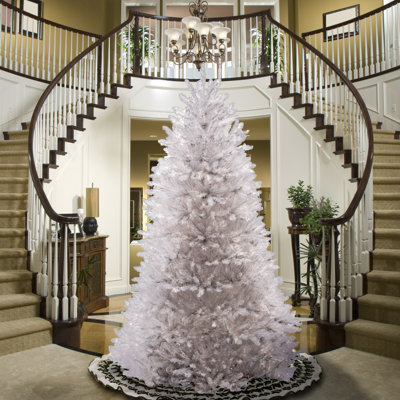 Dunhill White Fir Tree