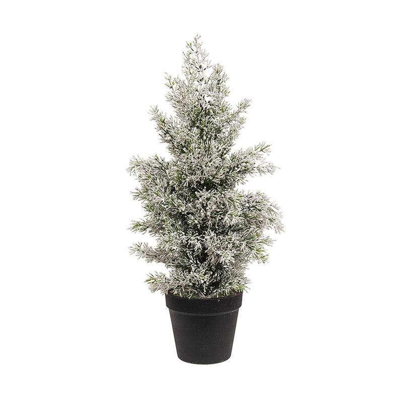 Genévrier enneigé en pot, 19 po