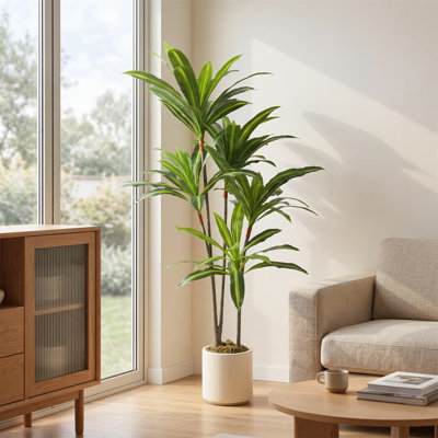 Faux Dracaena Tree Plant in Cement Freestanding  Planter