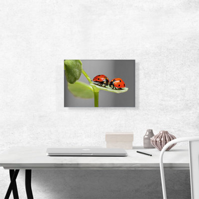 «Two Ladybugs Bugs on a Leaf», reproduction de photo sur toile tendue