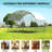 Edoardo 64.58 Square Feet Walk In Chicken Coop with Chicken Run for up to 30 Chickens
