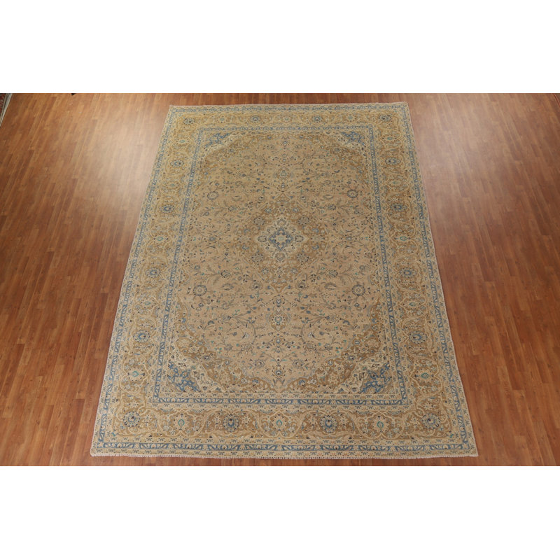 Traditional   Area Rug 10x13