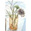 Jali Hurricane Candle Holder-1860967971