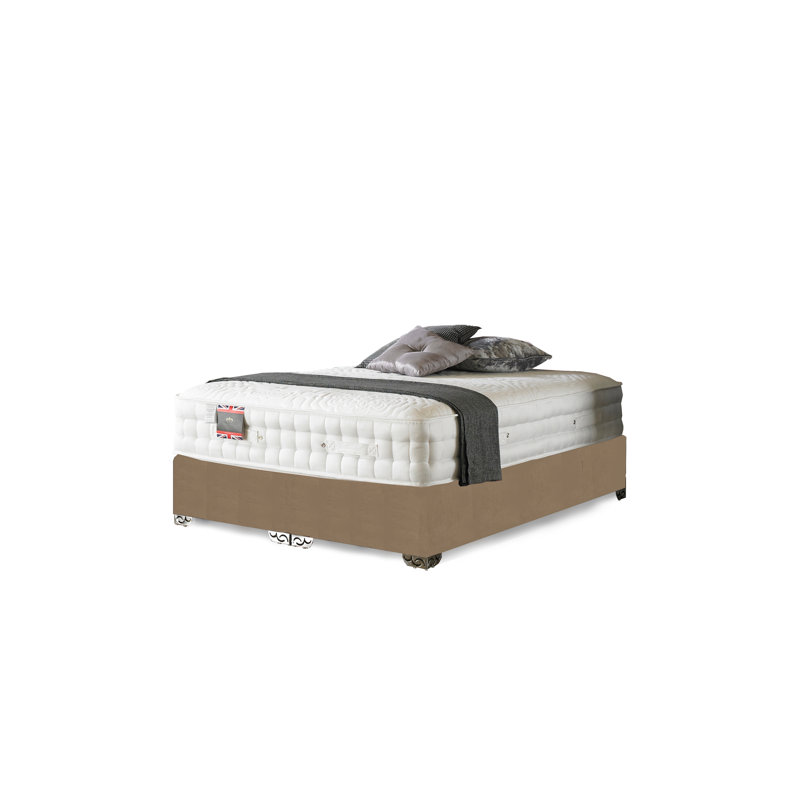 Argill Pocketsprung Divan Bed Set, Mink Plush Velvet, Double (4'6), No Storage