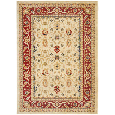 Tapis oriental Riverhead Performance