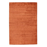 Area Rug in Rust Brown