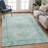 Machine Washable Indoor/Outdoor Chantille ACN2357 Traditional Rug-888574654
