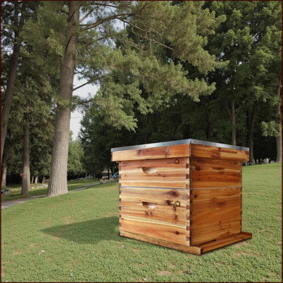 La trousse de démarrage de ruche 10 apicoles pour apicules trempées dans de la cire d'abeille à 100% comprend 1 boîte profonde et 1 boîte à abeilles moyenne avec des cadres de ruches et des fondations en cire pour les apicoles débutants