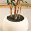 Ficus artificiel H 96 po avec pot de fleurs blanc Adcock