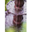 Fontaine de jardin d'extérieur à trois niveaux 51 po XBrand Classic-996474234