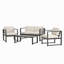 ENSEMBLE DE CHAT 4 PCS, FINITION NOIRE AVEC COUSSIN BEIGE