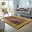 Oriental Area Rug in Ivory