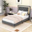 Velvet Upholstered Platform Bed with LED Lighting and Tufted Headboard-1321034601-1320898219